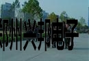 2010年秋季运动会