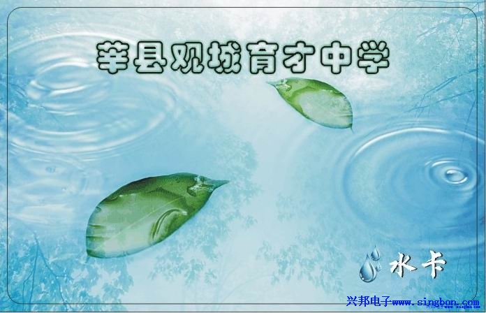 莘县观城育才中学