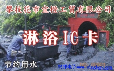 攀枝花市宜橙工贸有限责任公司