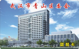 武汉市青山区委会