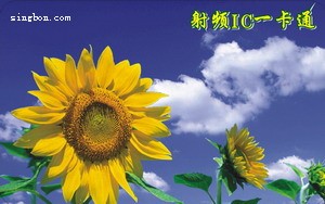 非接触IC卡、射频卡、感应卡、饭卡、就餐卡